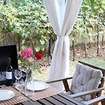 Grape&wine בית הארחה 4*