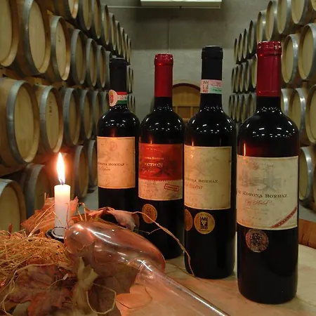 Grape&wine Gæstehus 4*