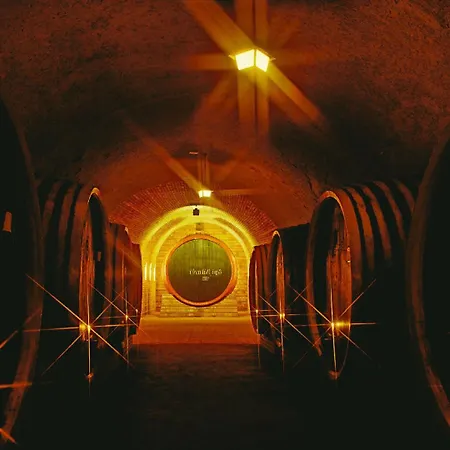Gæstehus Grape&wine Eger