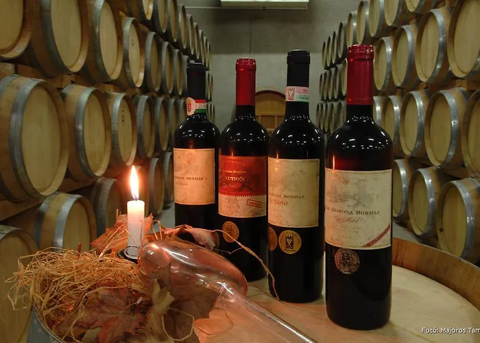 Grape&wine Casa de hóspedes 4*